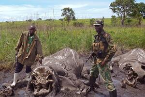 Jedan od najvećih afričkih slonova podlegao ranama