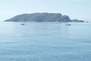 Subotić duguje 300.000 poreza Budvi