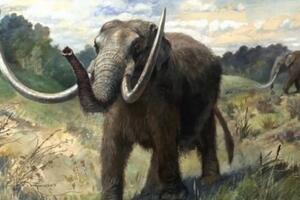 Pronađeni ostaci mastodonta