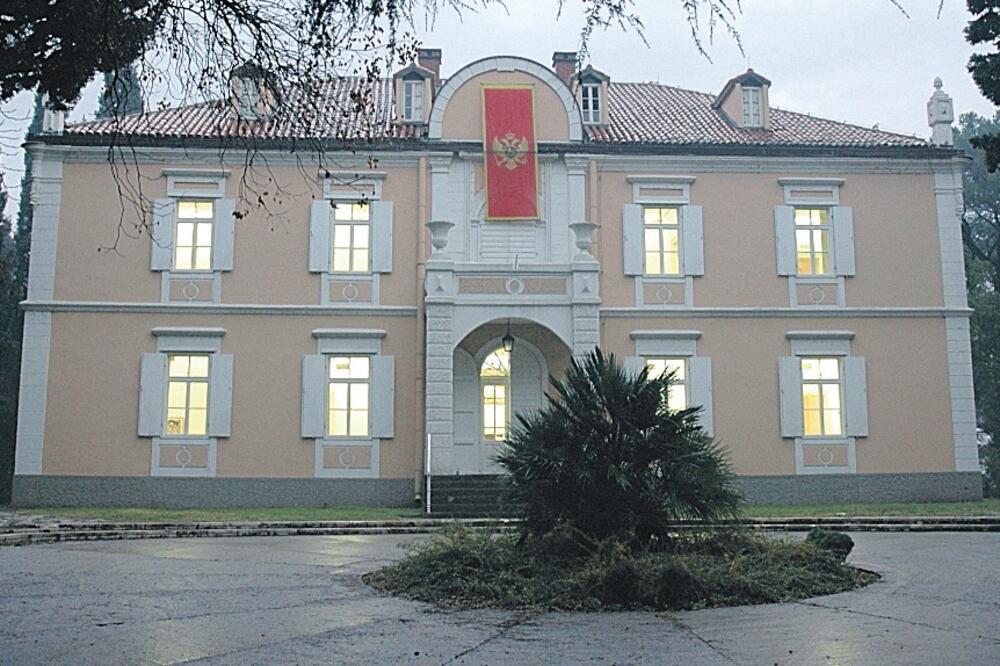 Dvorac Petrovića, Centar za savremene umjetnosti, Foto: Arhiva "Vijesti"