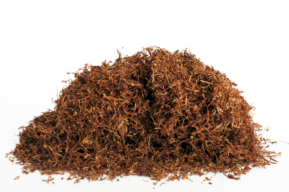 duvan, Foto: Shutterstock