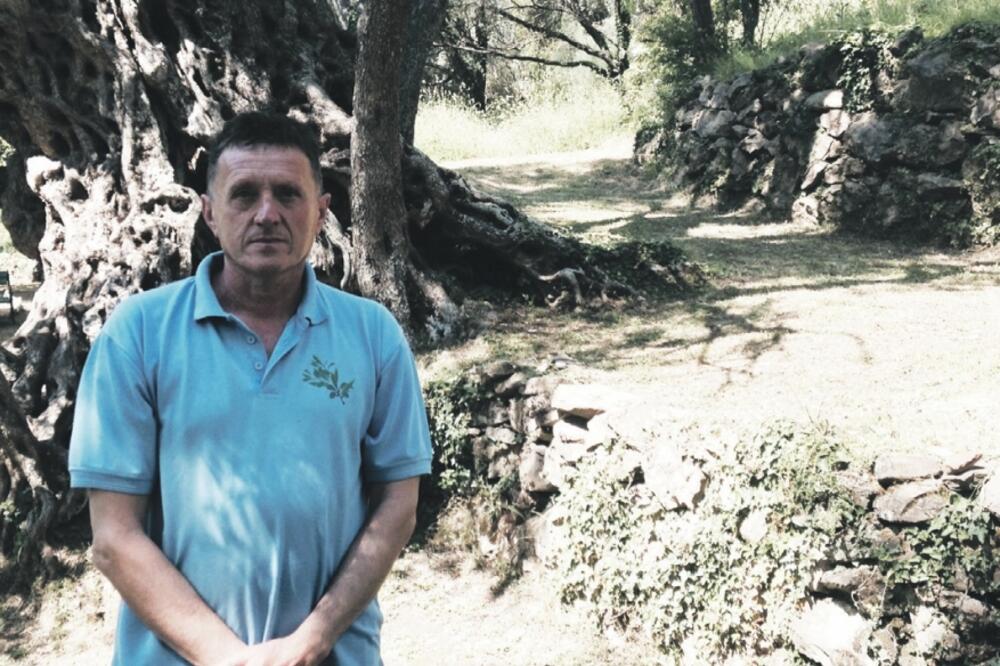 Slobodan Ivanović, Velja maslina, Foto: Vuk Lajović