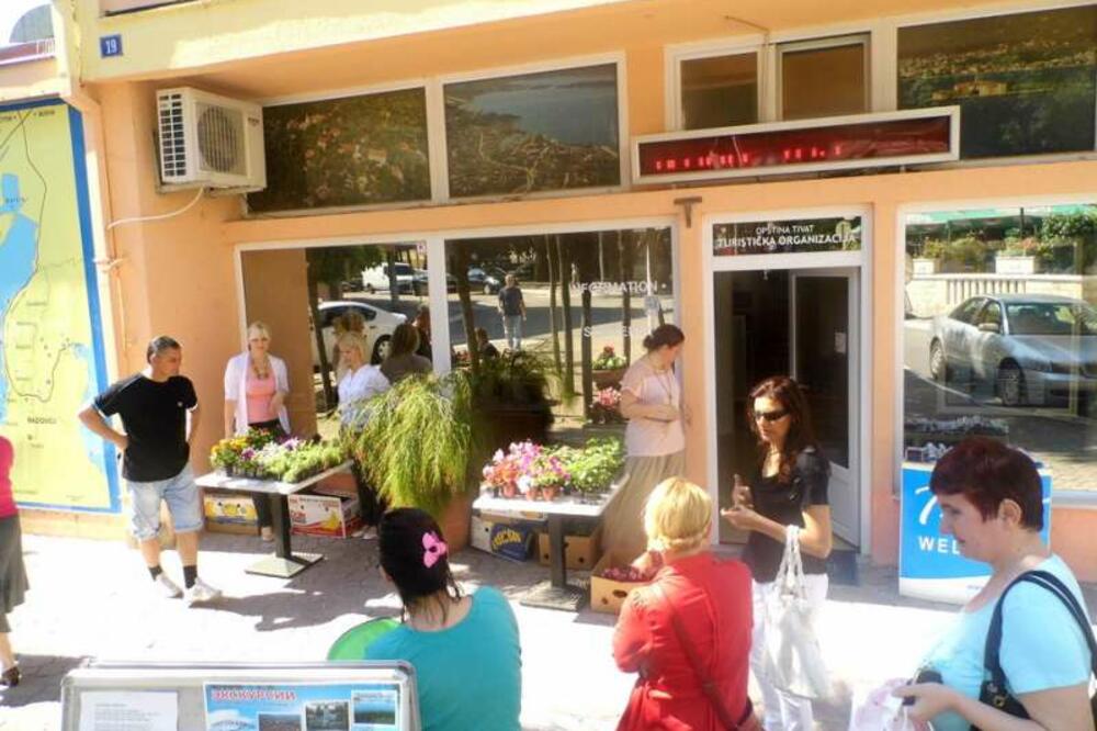 TO Tivat, Tivat, Foto: Siniša Luković