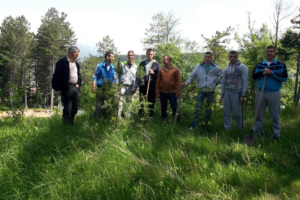 park šuma Dulovina, Foto: Dragana Šćepanović