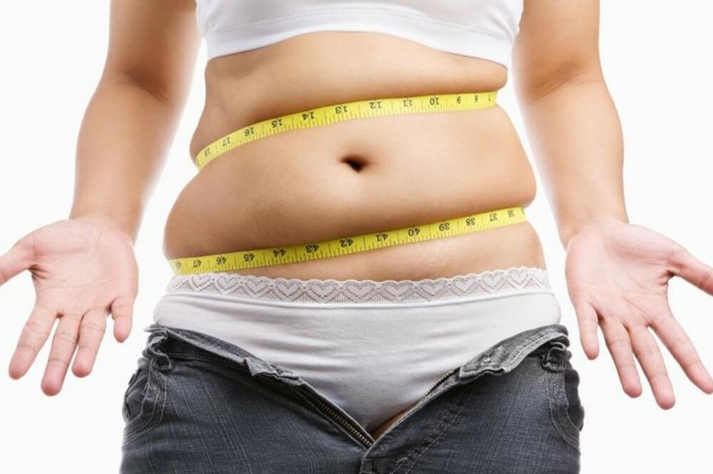 stomak, Foto: Infogal.net