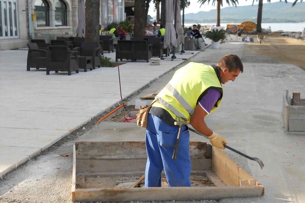 Pine, Tivat, Foto: Siniša Luković