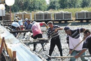 Kavarić: Naći novog vlasnika kroz stečajni proces je jedino...