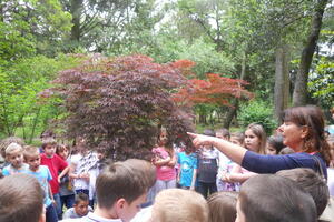 Tivat: Ekološki čas za učenike drugog razreda