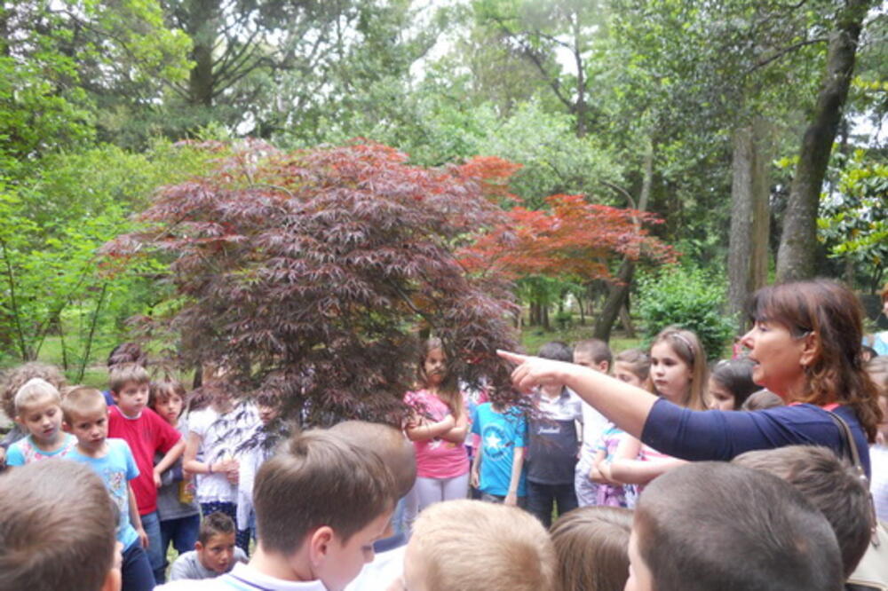 Ekološki čas Tivat, Foto: Siniša Luković