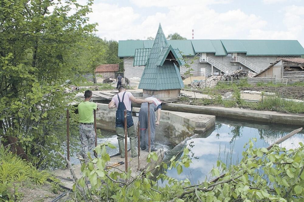 Vezišnica, Foto: Goran Malidžan