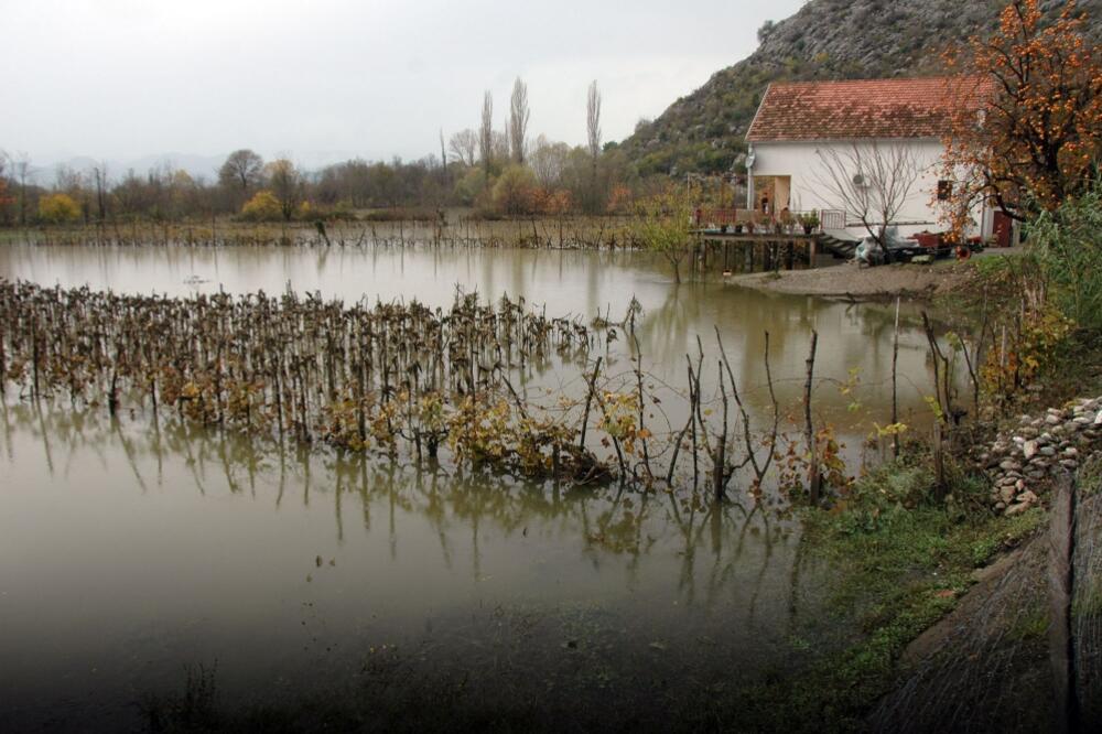 poplave, Zeta, Foto: Luka Zeković