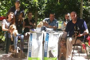 Pozitivci  u Baru ukazuju na problem napuštenih pasa