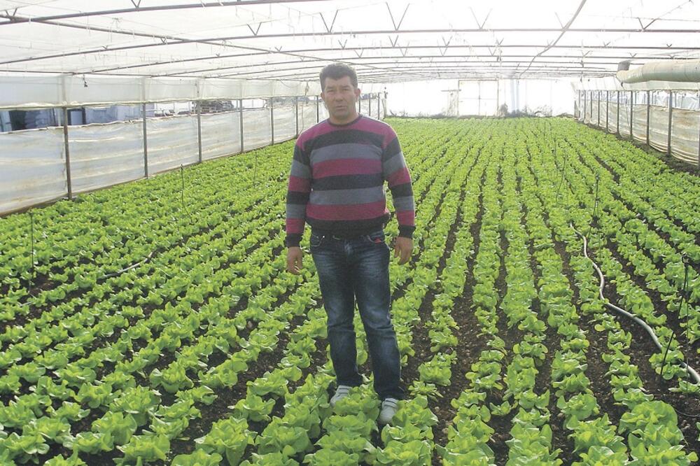 Željko Milović, Foto: Arhiva "Vijesti"