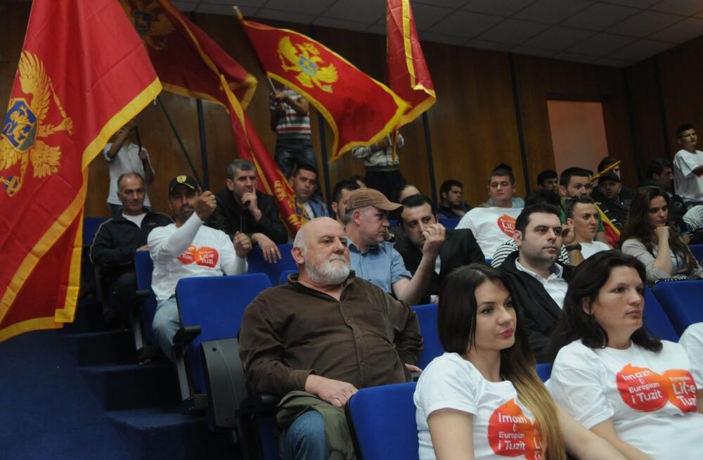 Evropsko lice Podgorice, Tuzi