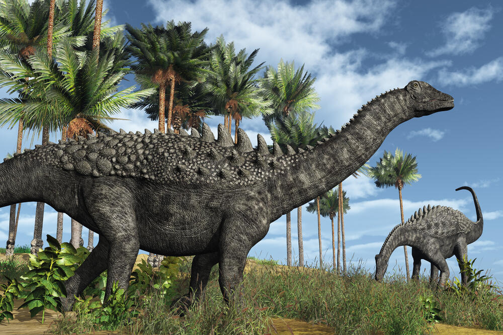 Dinosaurus, Foto: Shutterstock