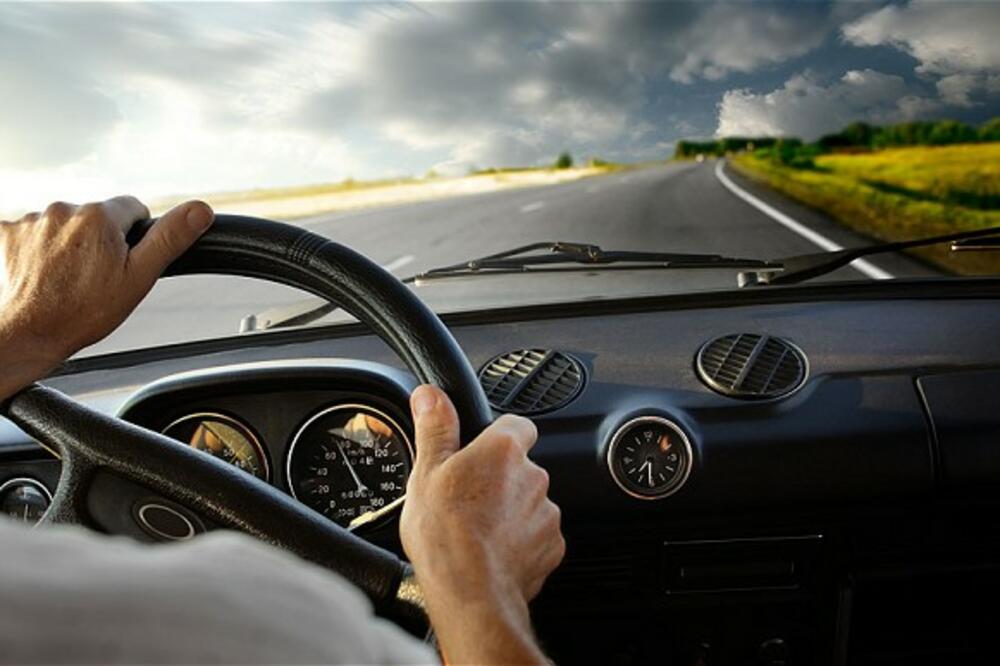 koa, Foto: I.telegraph.co.uk