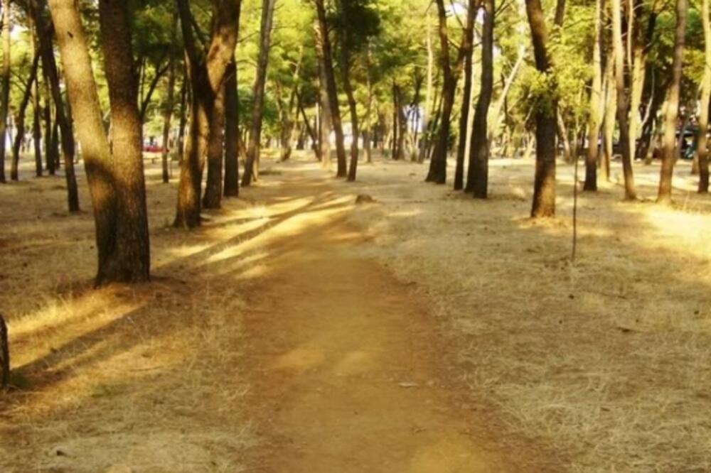 Tološka šuma, Foto: Skyscrapercity.com