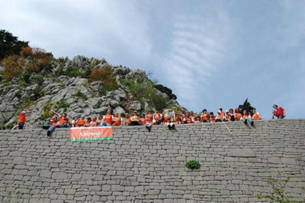 Vrmac, Foto: PK Vjeverica