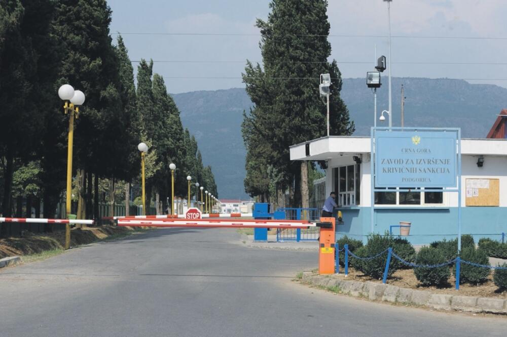 ZIKS, Foto: Savo Prelević