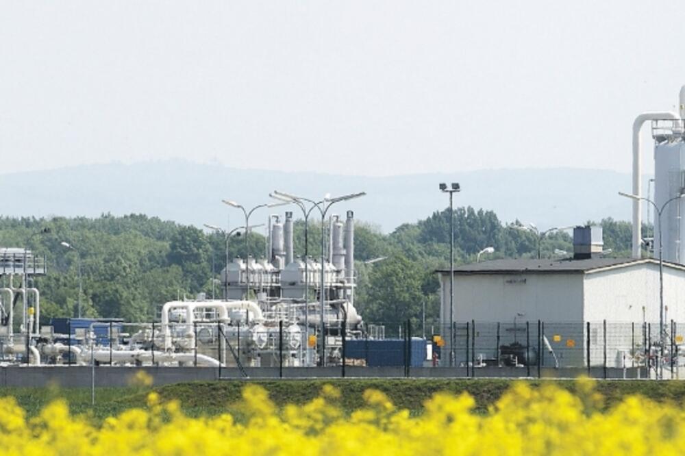 Baumgarten, Foto: Reuters