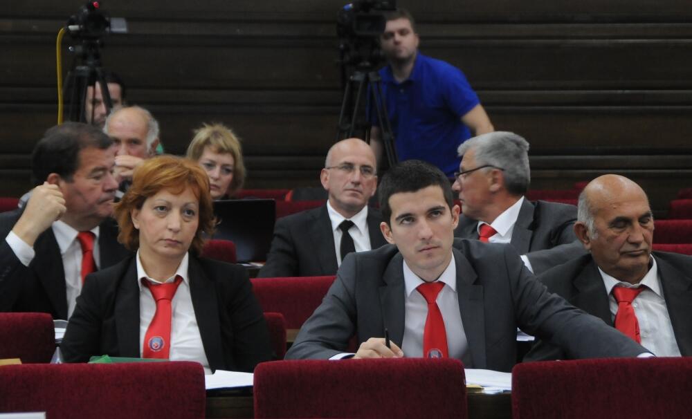 Branka Bošnjak, Skupština