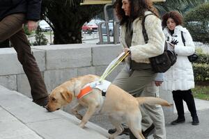 UMHCG: Psa vodiča čekaju još dvije osobe s invaliditetom