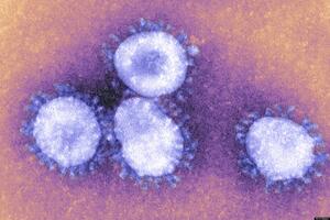 Saudijska Arabija: Više od 100 umrlih od virusa MERS, među žrtvama...