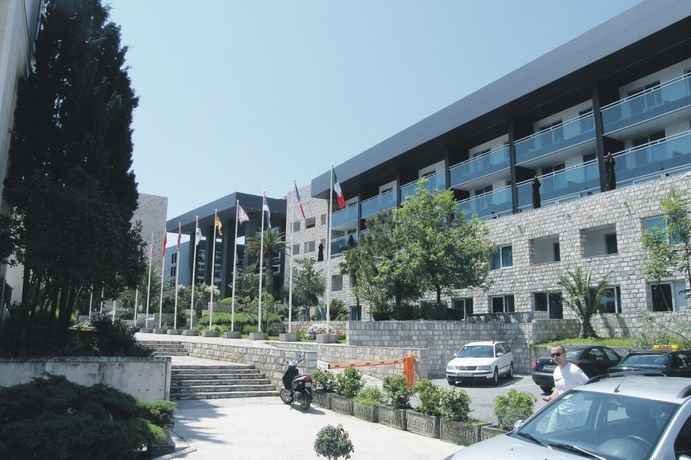 Avala, Foto: Vuk Lajović