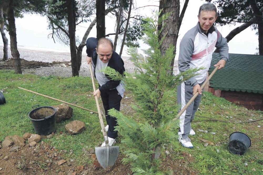 Pošumljavanje Žukotrlica, Foto: Radomir Petrić