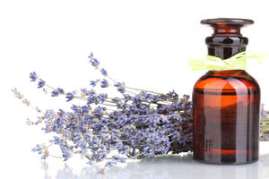 Lavanda - kraljica Mediterana