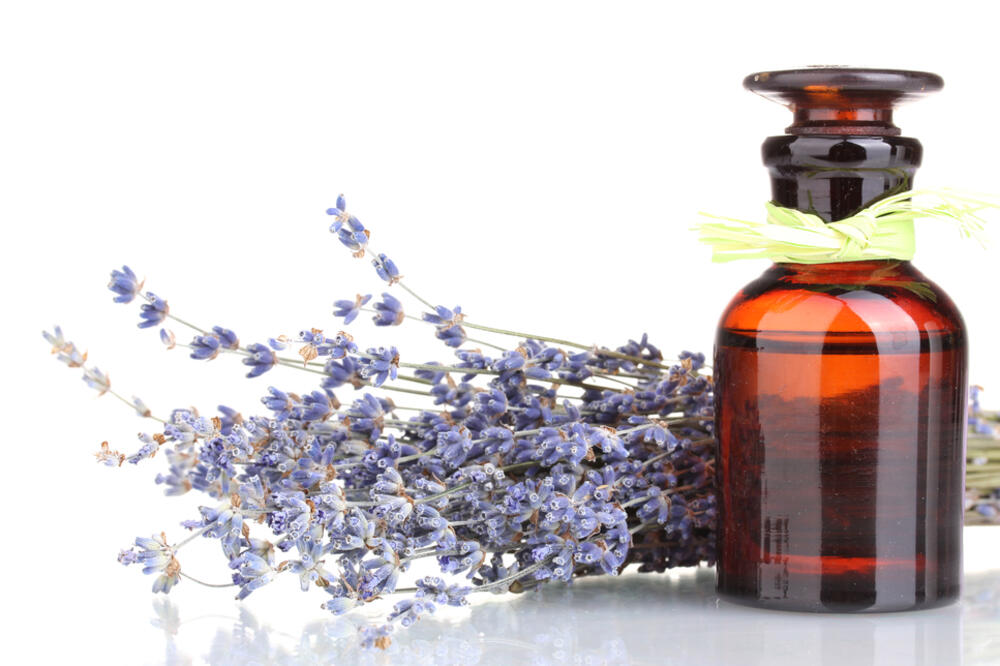 lavanda, Foto: Shutterstock