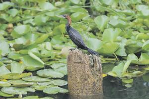 Ruski novinari u studijskoj posjeti Crnoj Gori