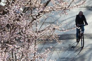 Danas uglavnom suvo, do 24 stepena