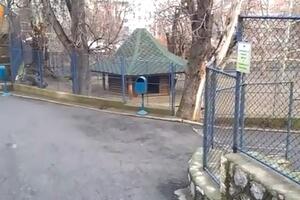 Beograd: Bojović ispitan zbog napada vuka, djevojčica stabilno