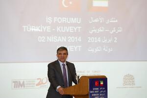 Gul: Ne želimo model upravljanja državom kao u Rusiji