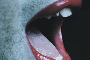 Pravilnik o kriterijumima za promjena pola u fazi nacrta