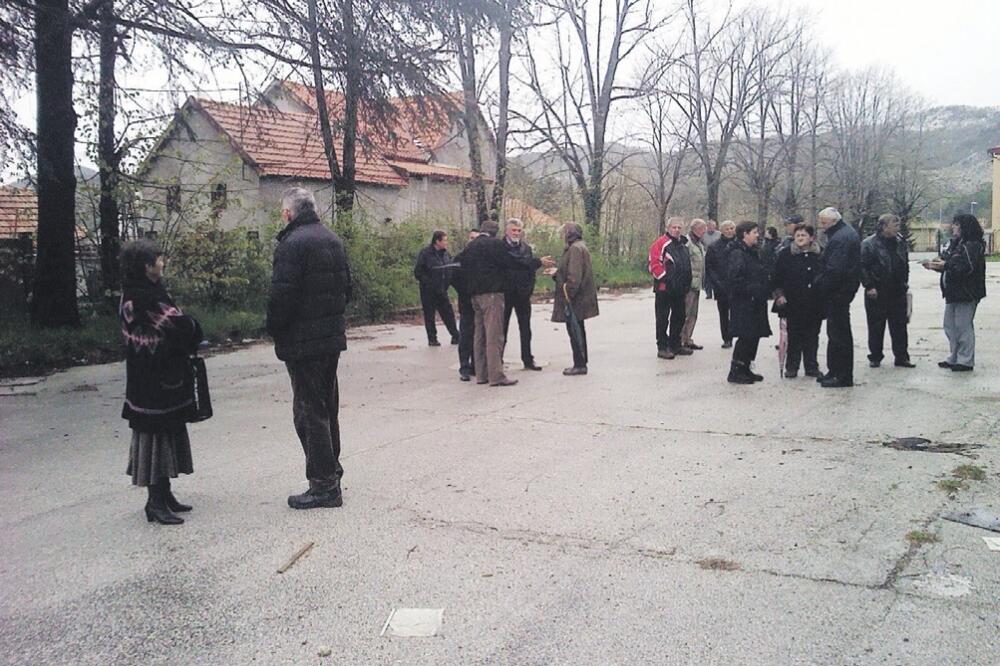 Košuta radnici, Foto: Danijela Lasica