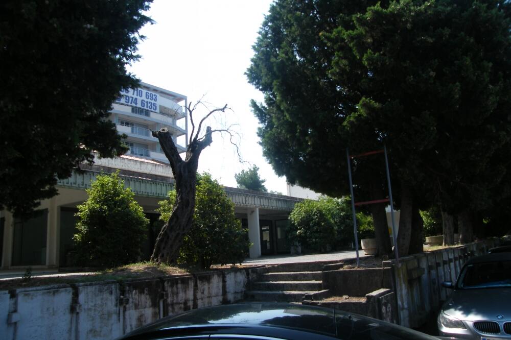 Poslovni prostor Pržno, Foto: Vuk Lajović