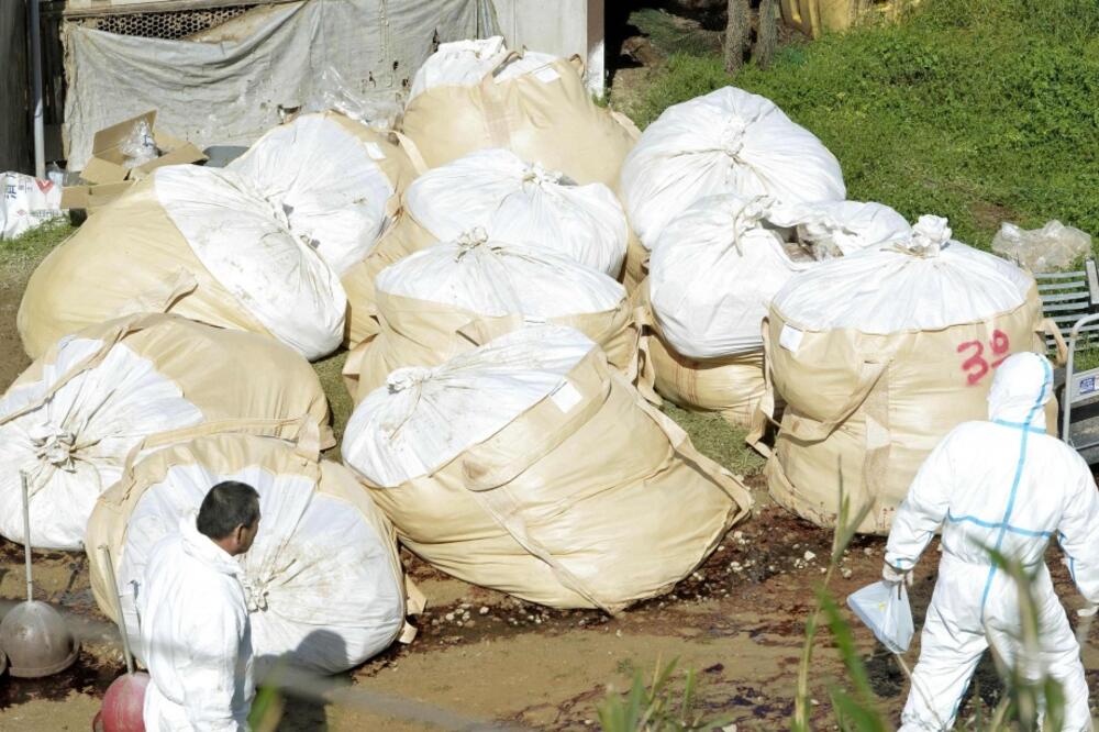 Japan piletina, Foto: Reuters
