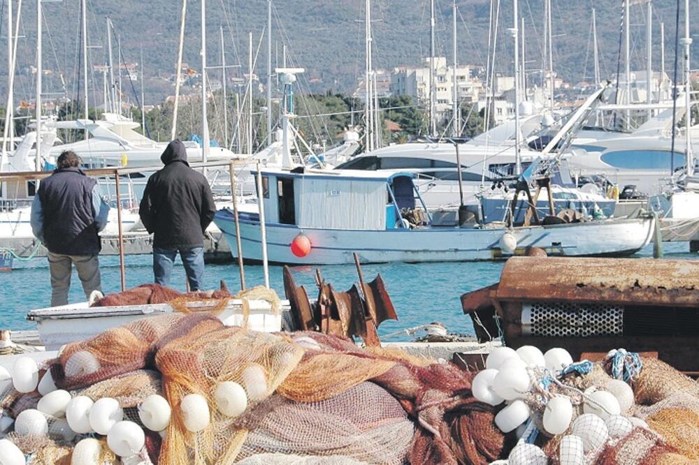 ribolov, krivolovci, krivolov, Foto: Anto Baković