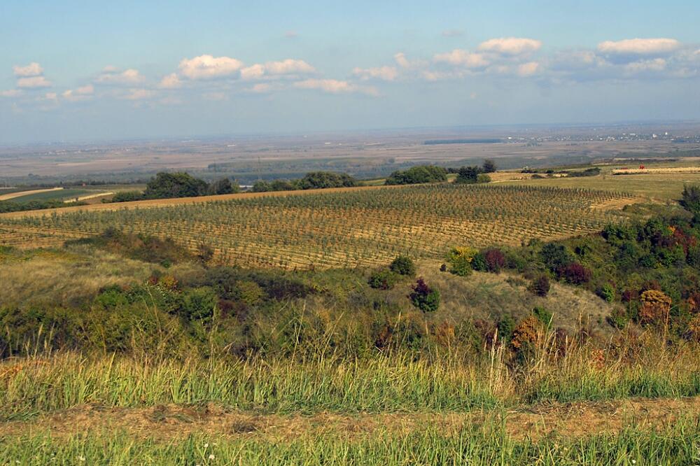 njiva, Foto: Shutterstock