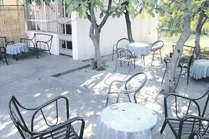 Koljenoviću 13 godina