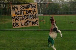 Mrtva ovca na ogradi stadiona Hanovera