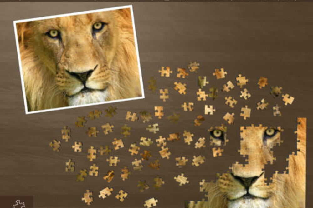 puzzle, Foto: App Store