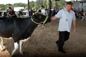 Ulcinj: U četvrtak stručno predavanje za stočare