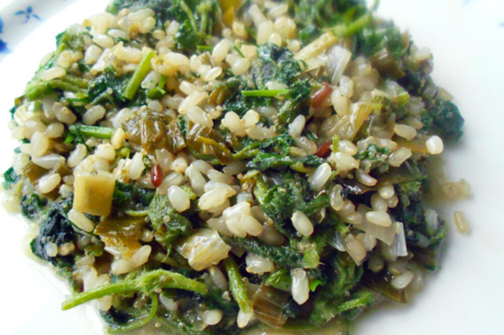 kopriva, Foto: Kopriva