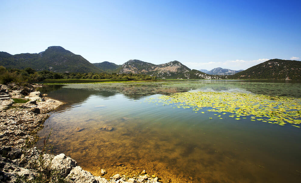 Skadarsko jezero
