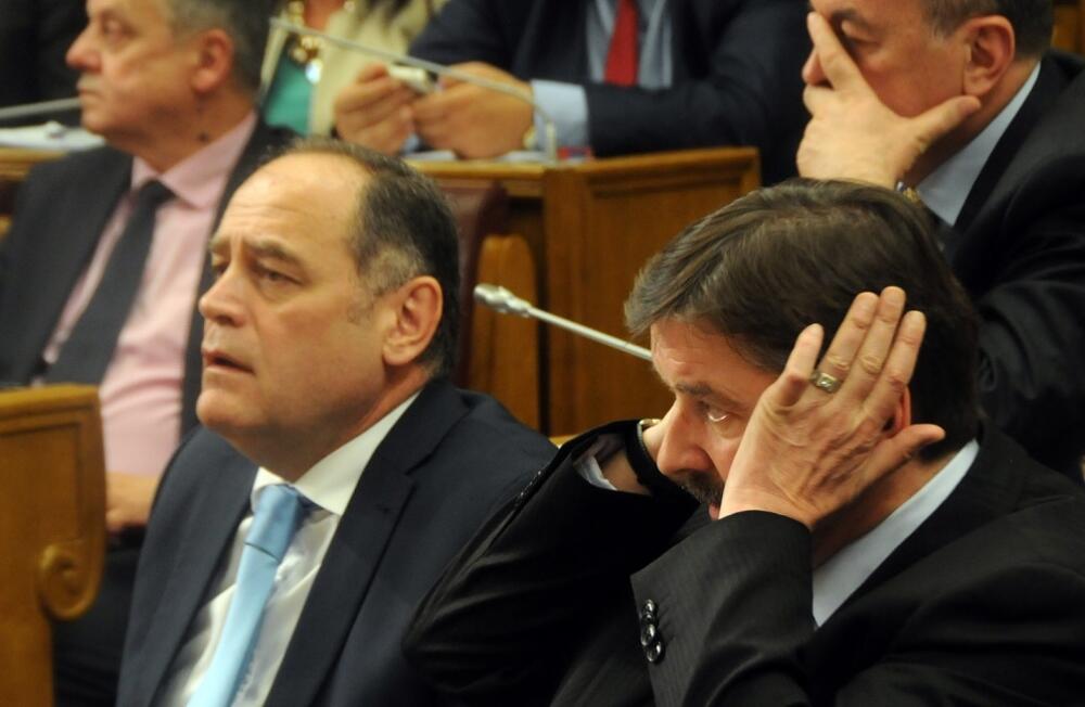 Miodrag Vuković, Skupština