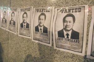 Pali tigar, uzdrmani zmaj