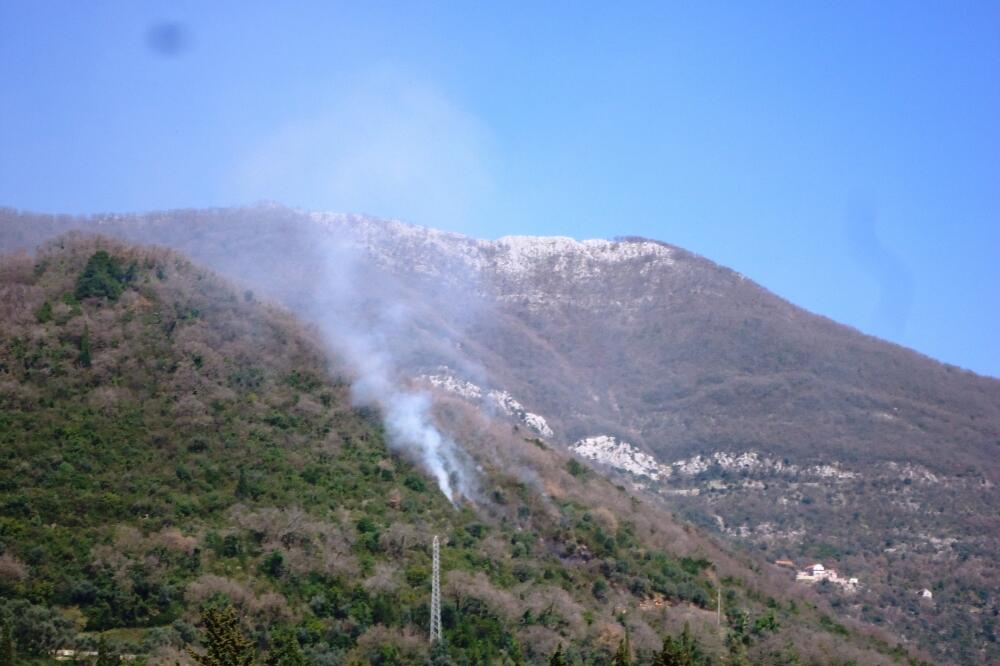 Požar na Veljoj međi, Foto: Siniša Luković
